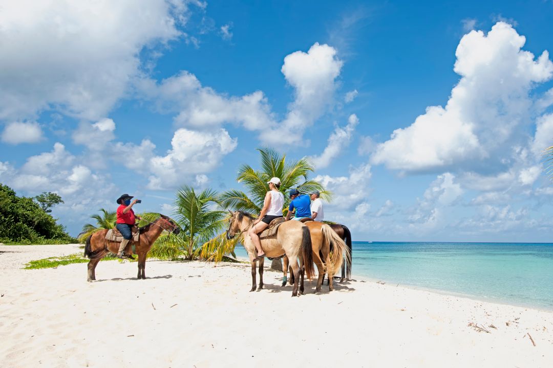 st_lucia_tours_horseback_riding